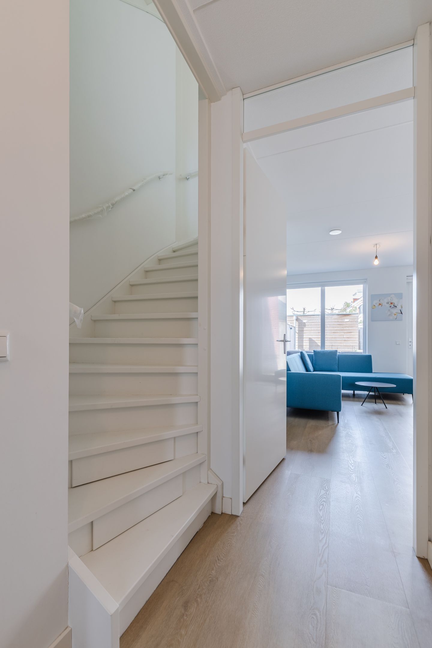 Photo 29 of Penningkruid 88