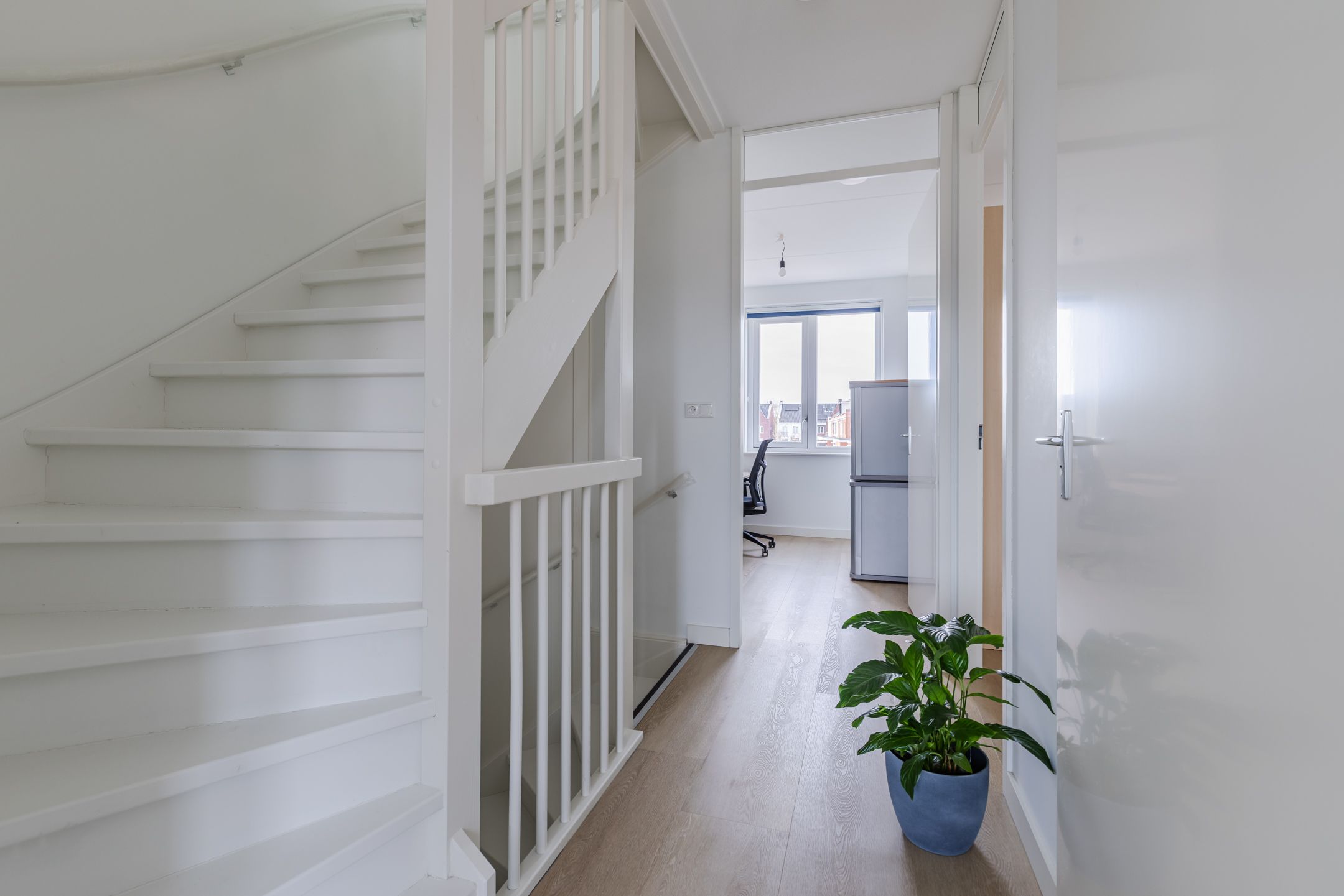 Photo 48 of Penningkruid 88