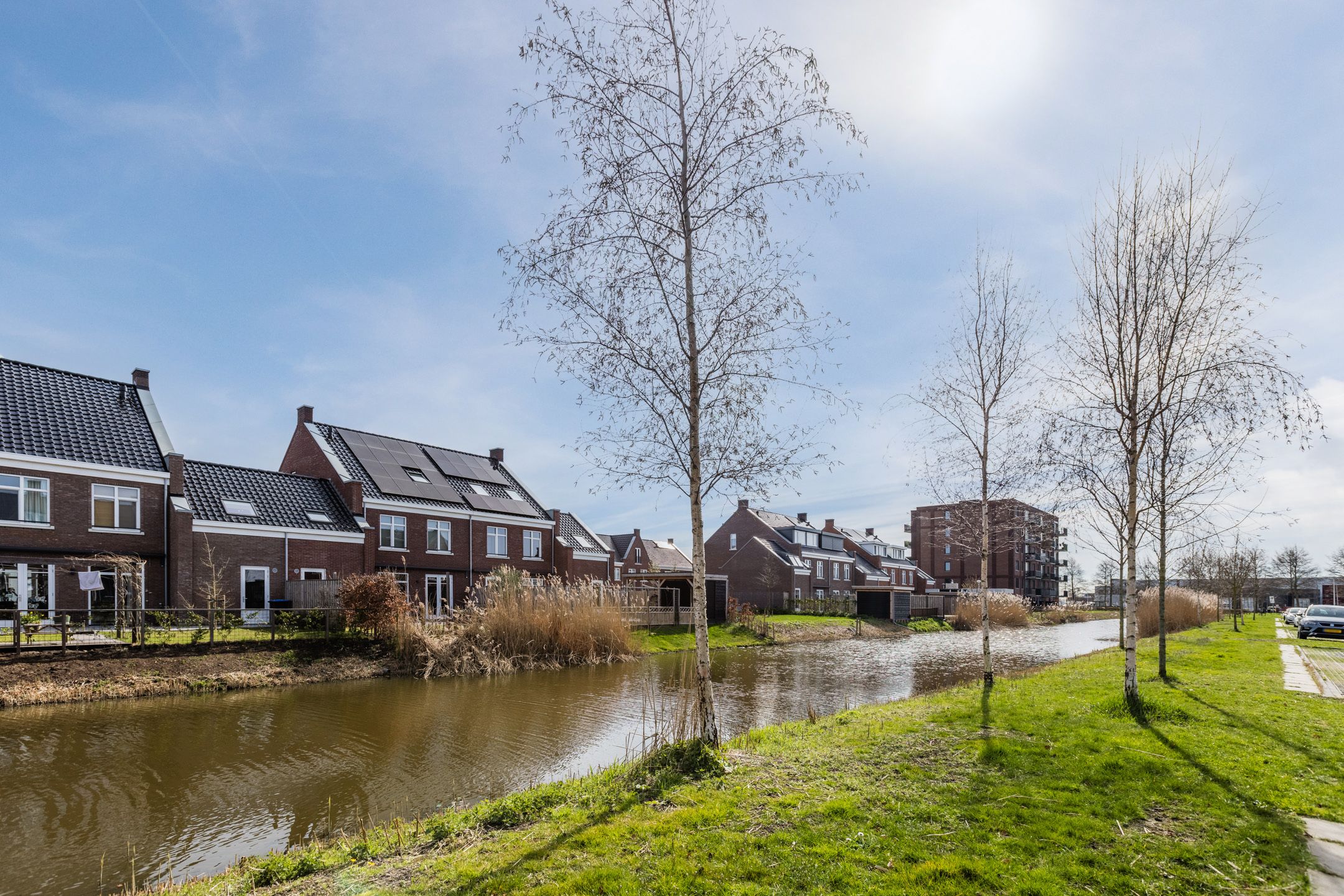 Photo 69 of Penningkruid 88