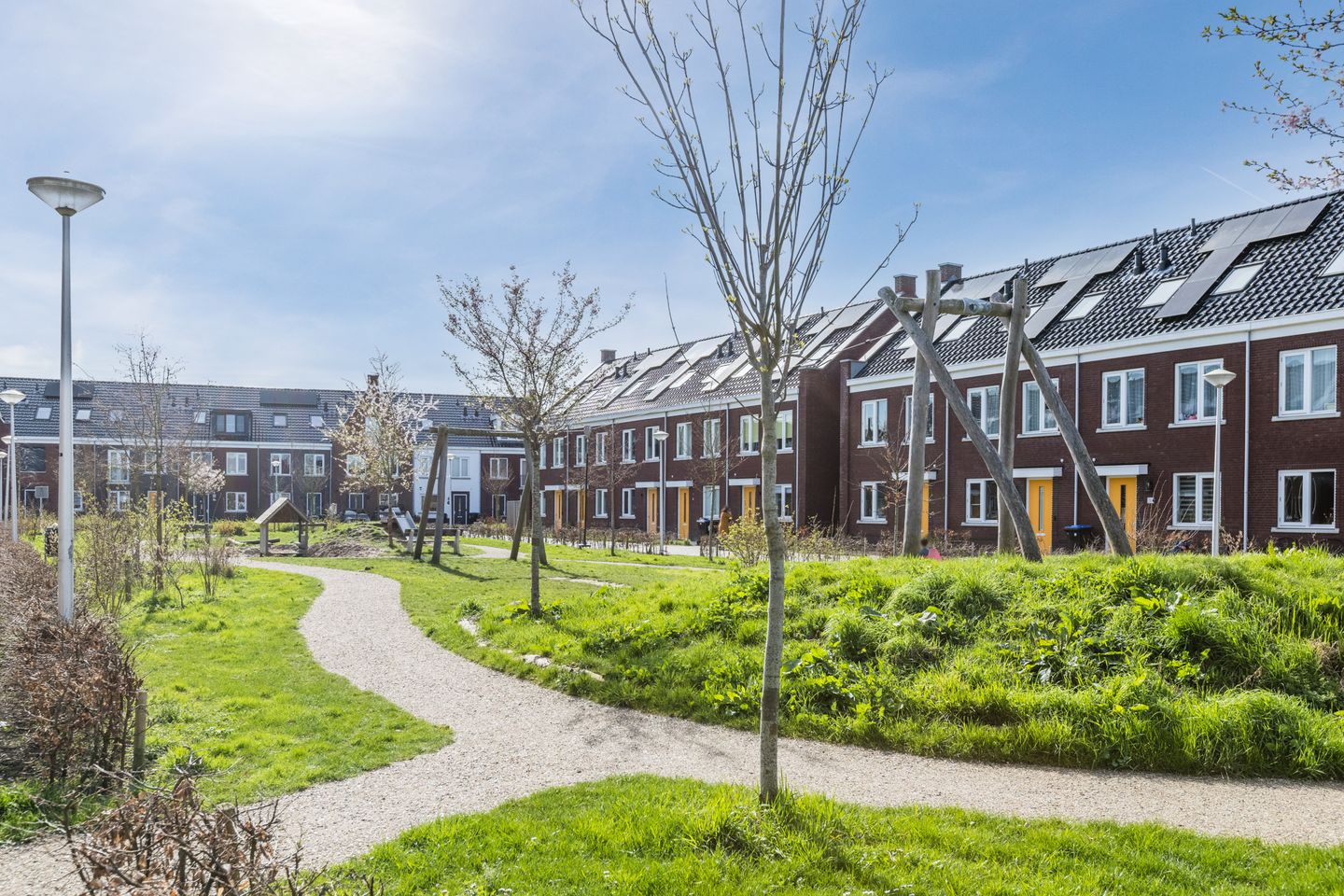 Photo 70 of Penningkruid 88