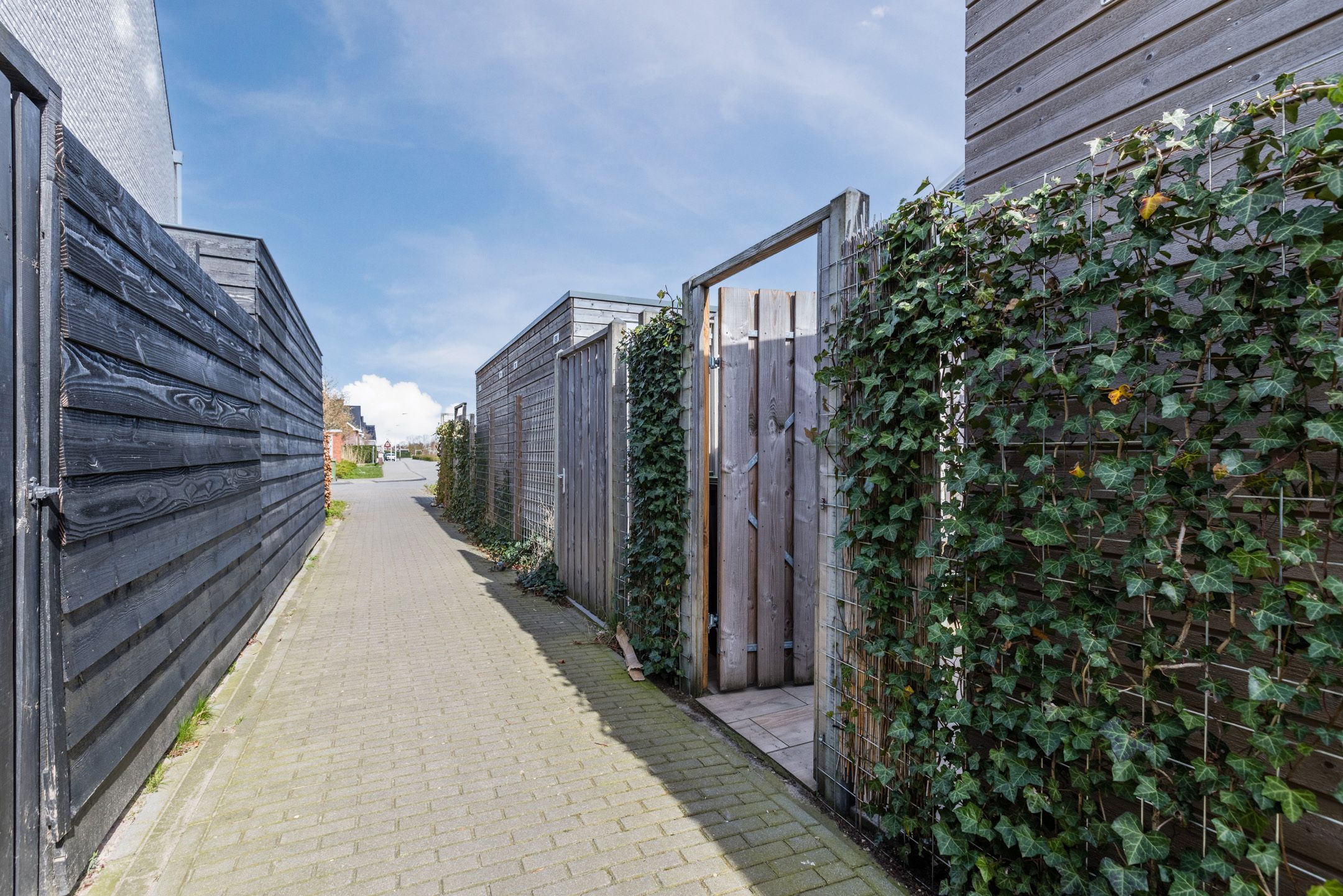 Photo 63 of Penningkruid 88