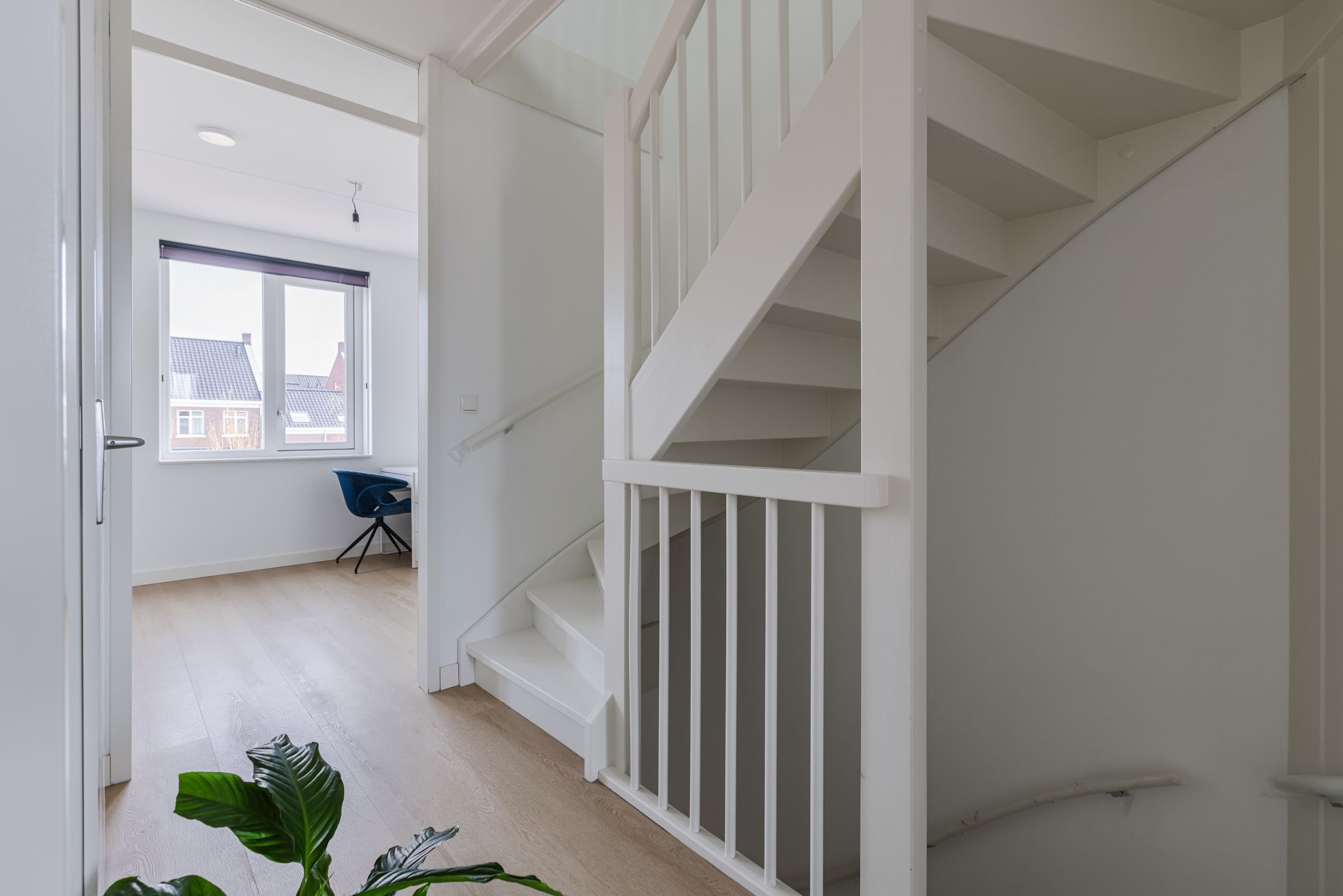 Photo 30 of Penningkruid 88