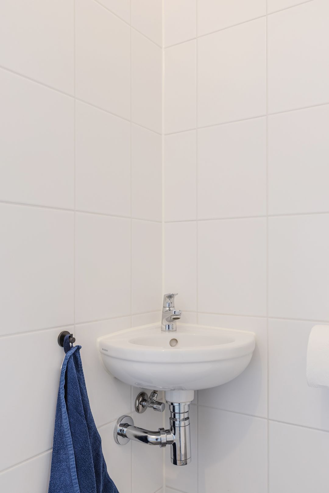 Photo 13 of Penningkruid 88