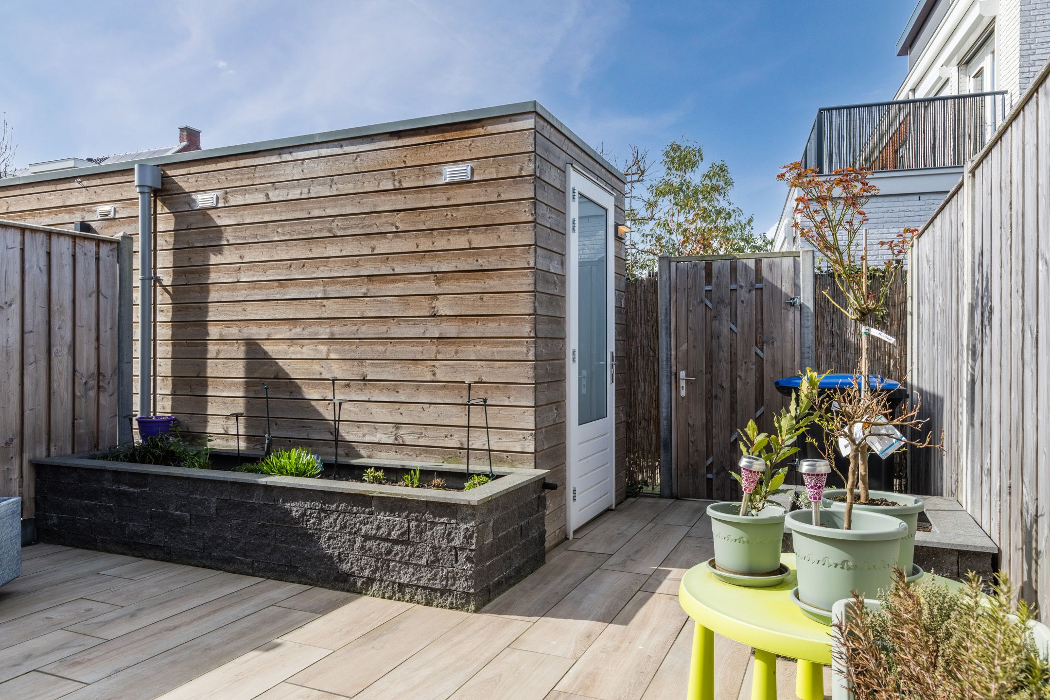 Photo 60 of Penningkruid 88