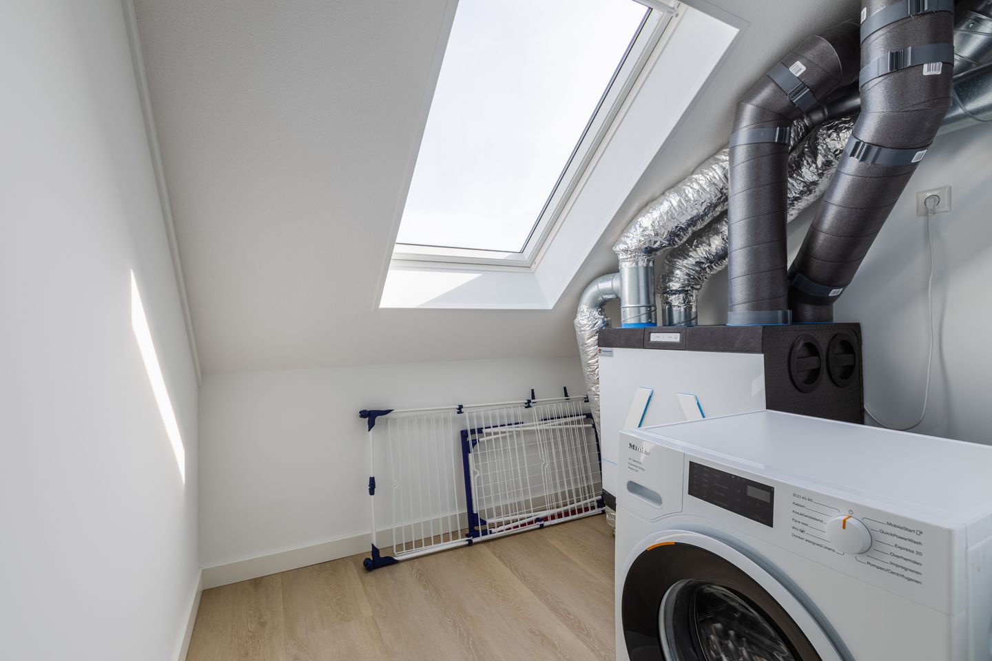 Photo 55 of Penningkruid 88