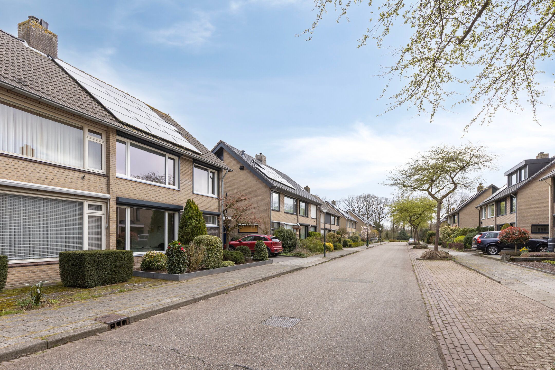 Photo 39 of Bosrand 33