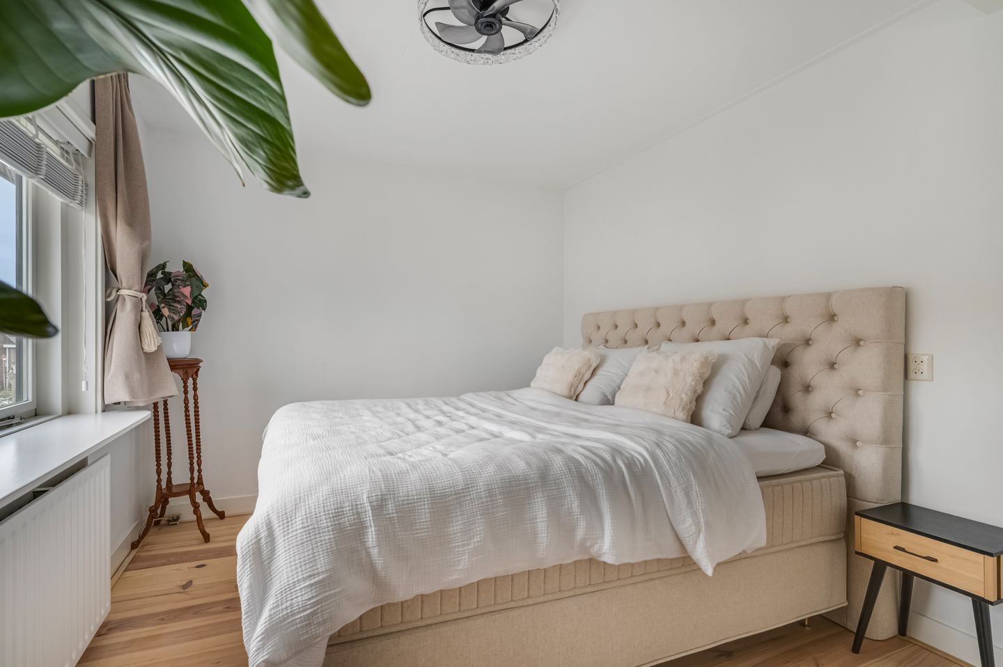 Photo 4 of Rozenstraat 16