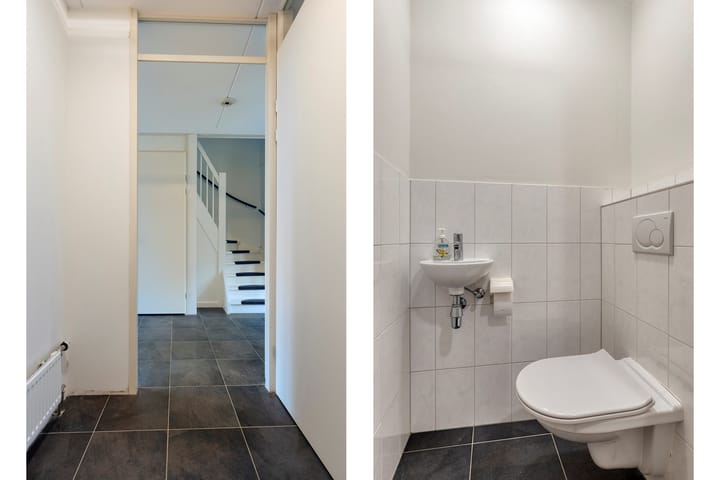 Photo 4 of IJsvogel 109