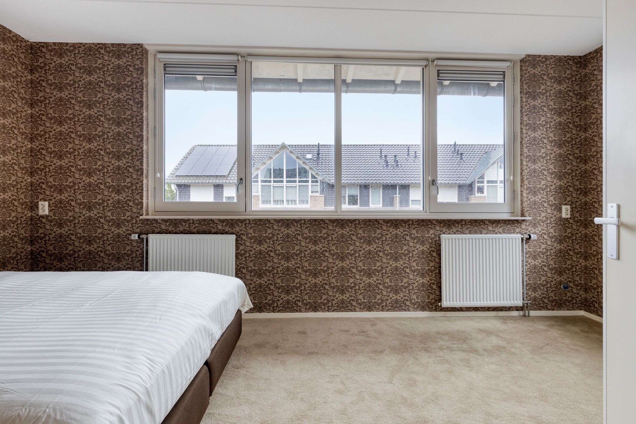 Photo 15 of IJsvogel 109