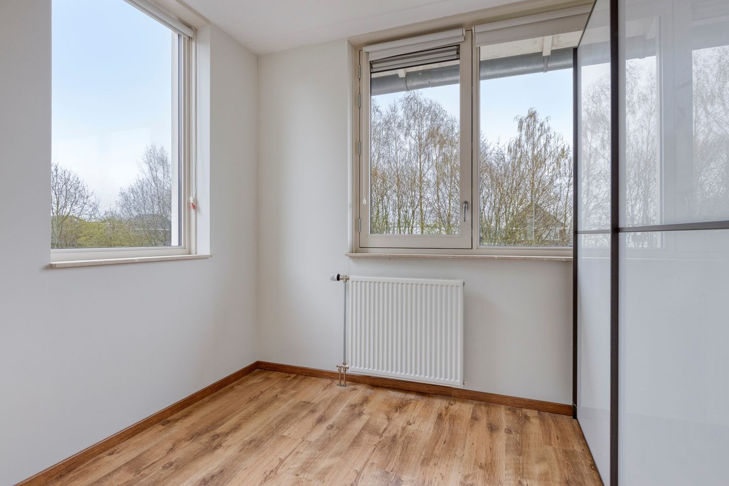 Photo 19 of IJsvogel 109