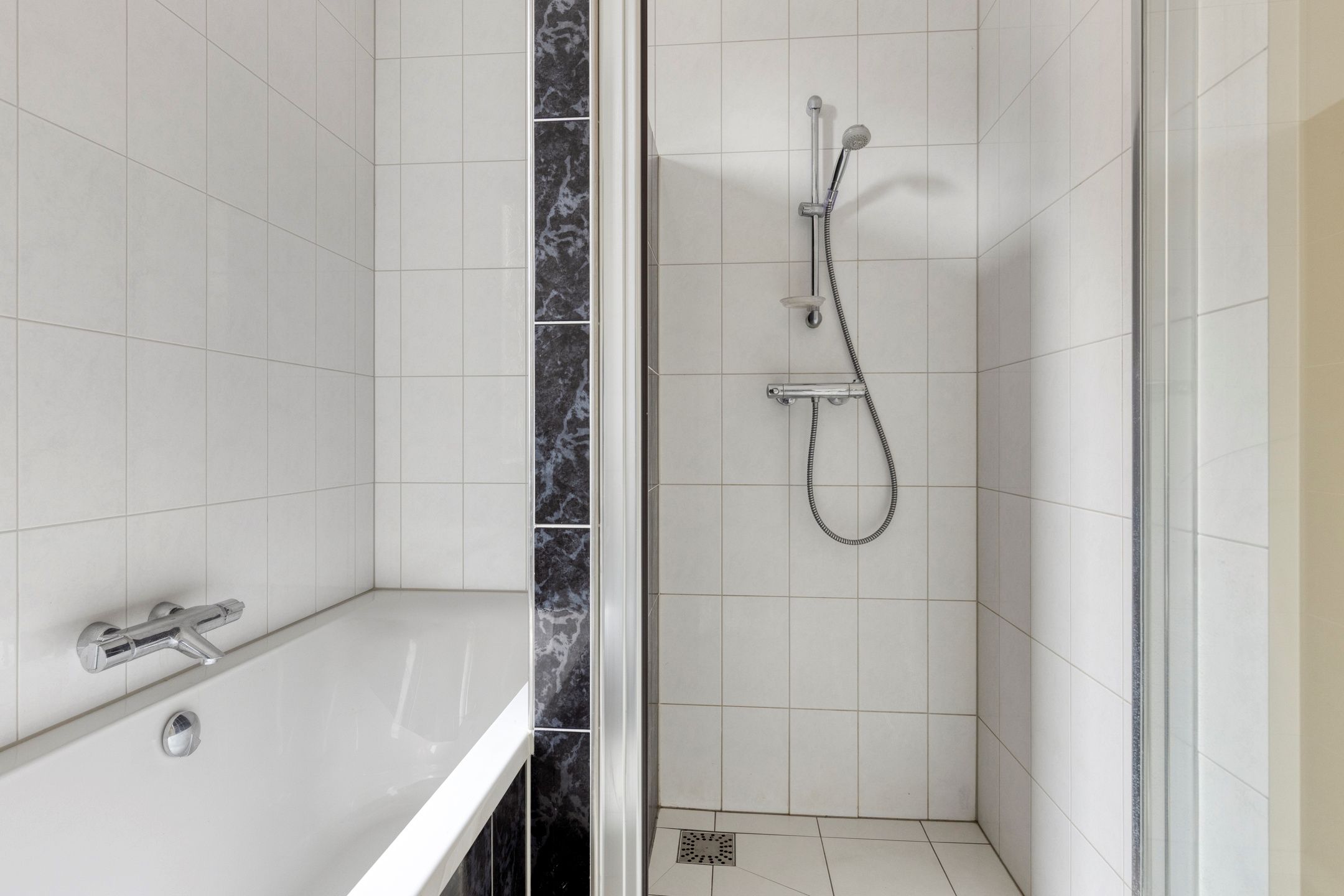 Photo 21 of IJsvogel 109