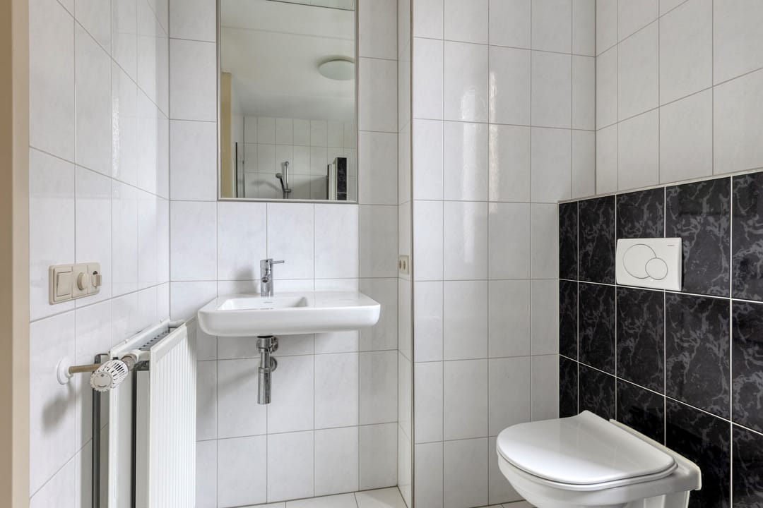 Photo 22 of IJsvogel 109