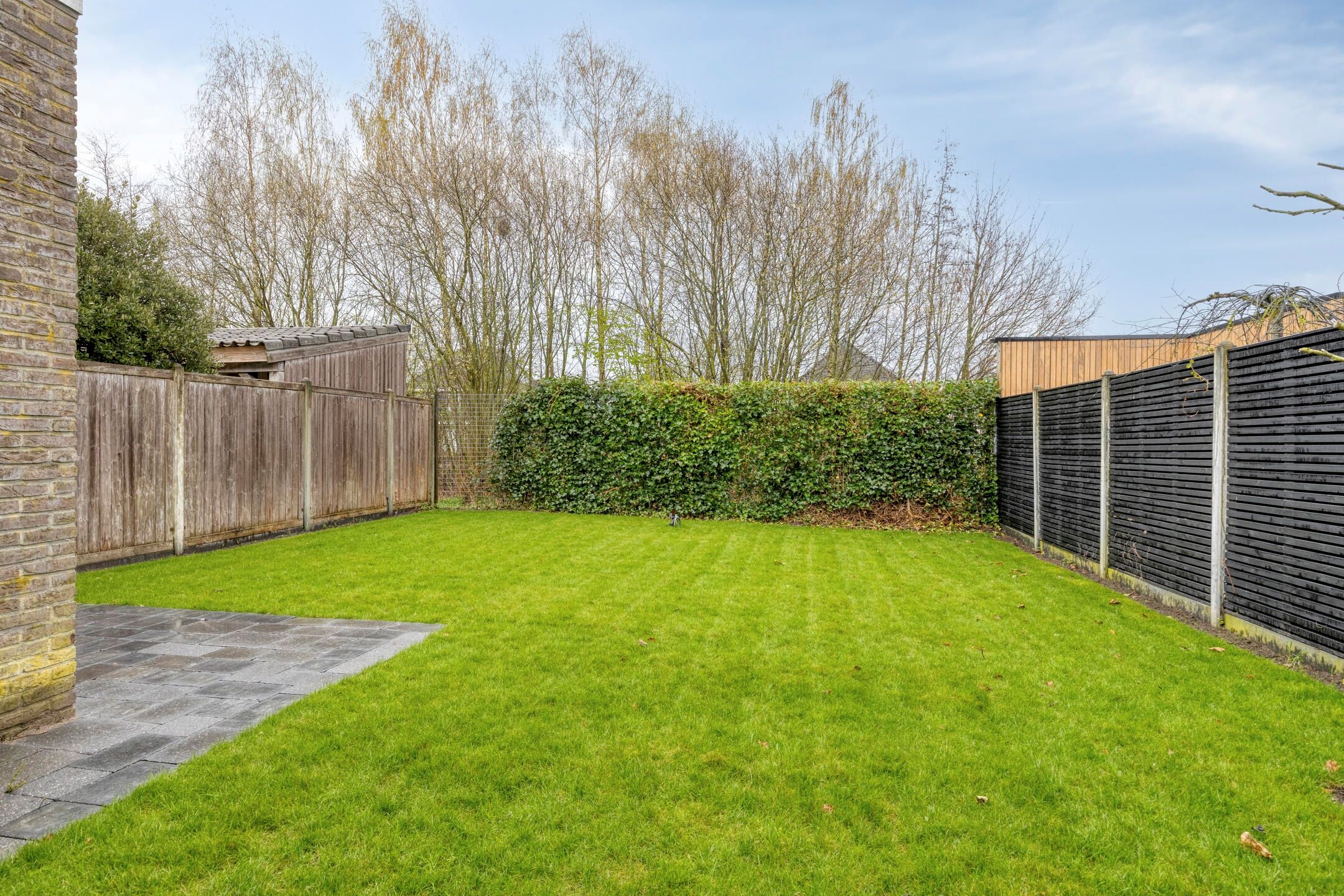 Photo 27 of IJsvogel 109