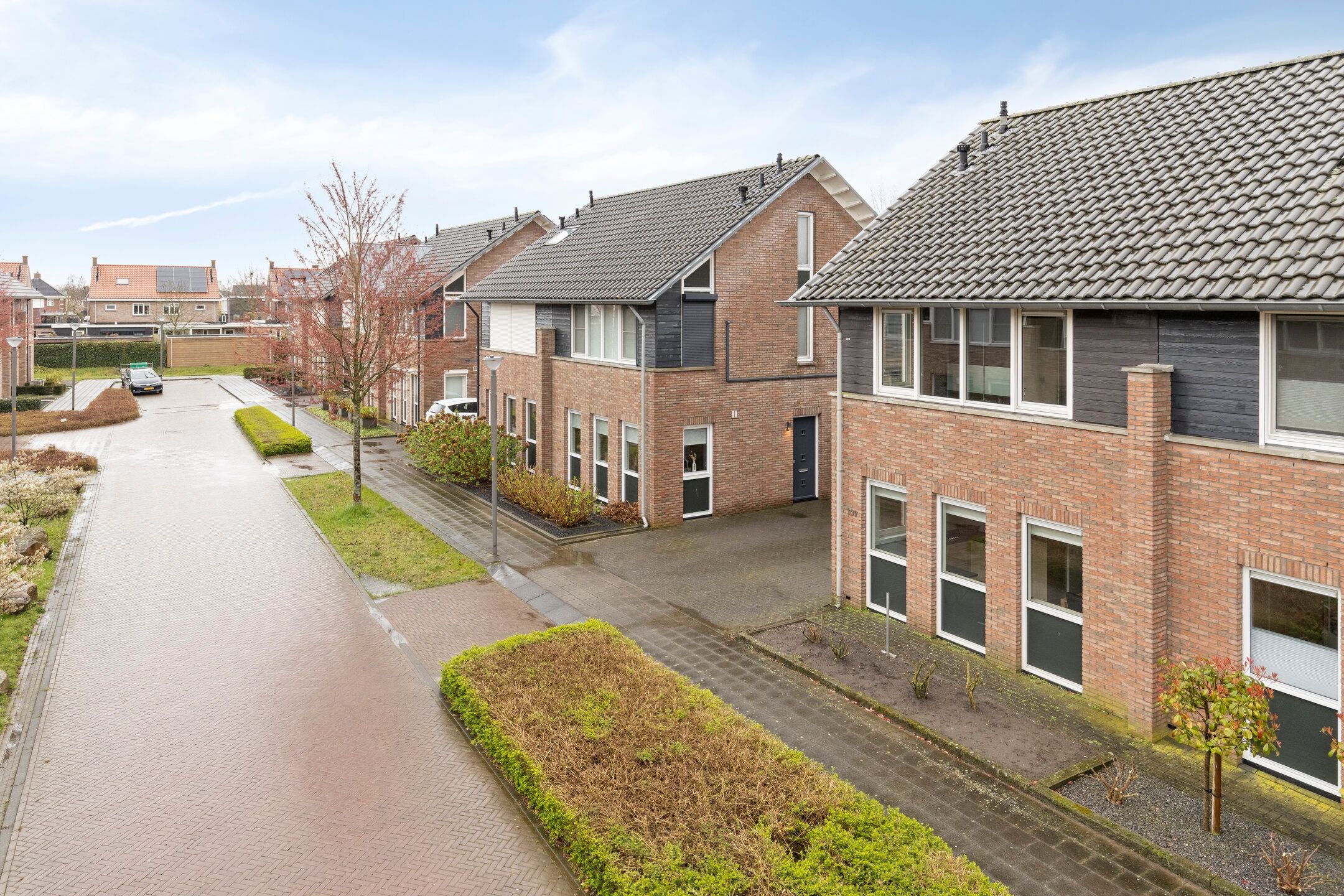 Photo 30 of IJsvogel 109