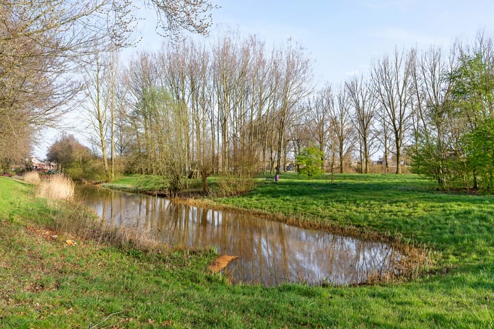 Photo 2 of Ferdinand Bolhage 47