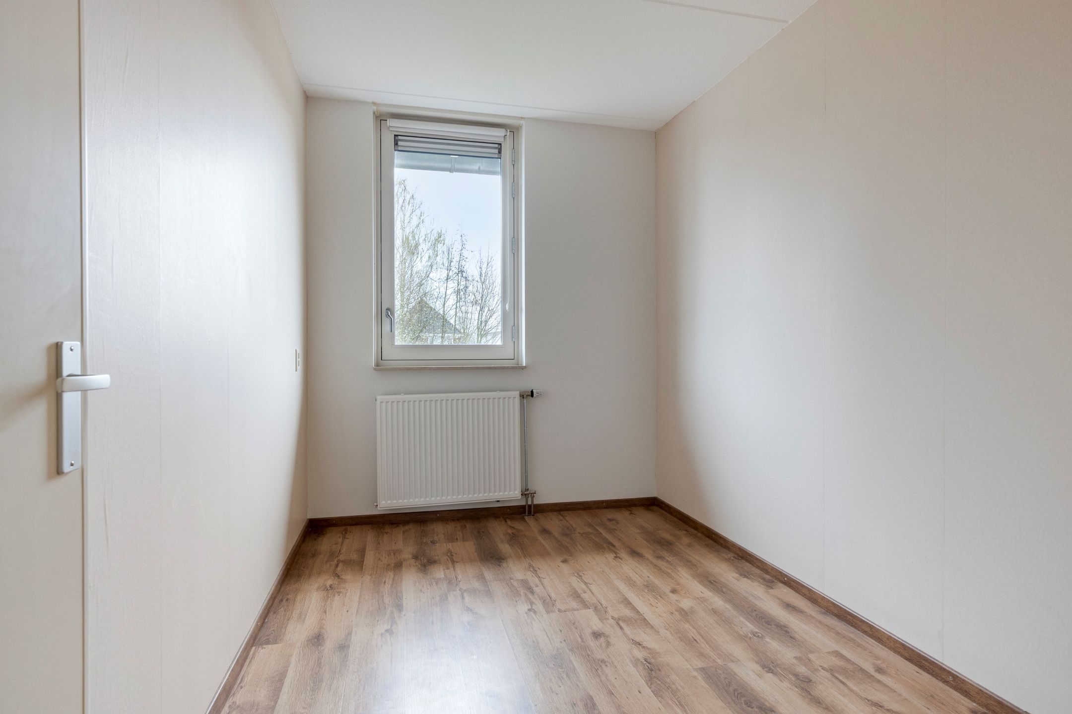 Photo 18 of IJsvogel 109