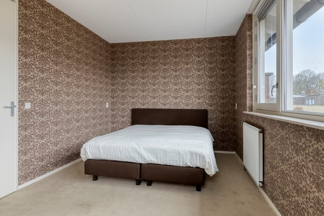 Photo 16 of IJsvogel 109