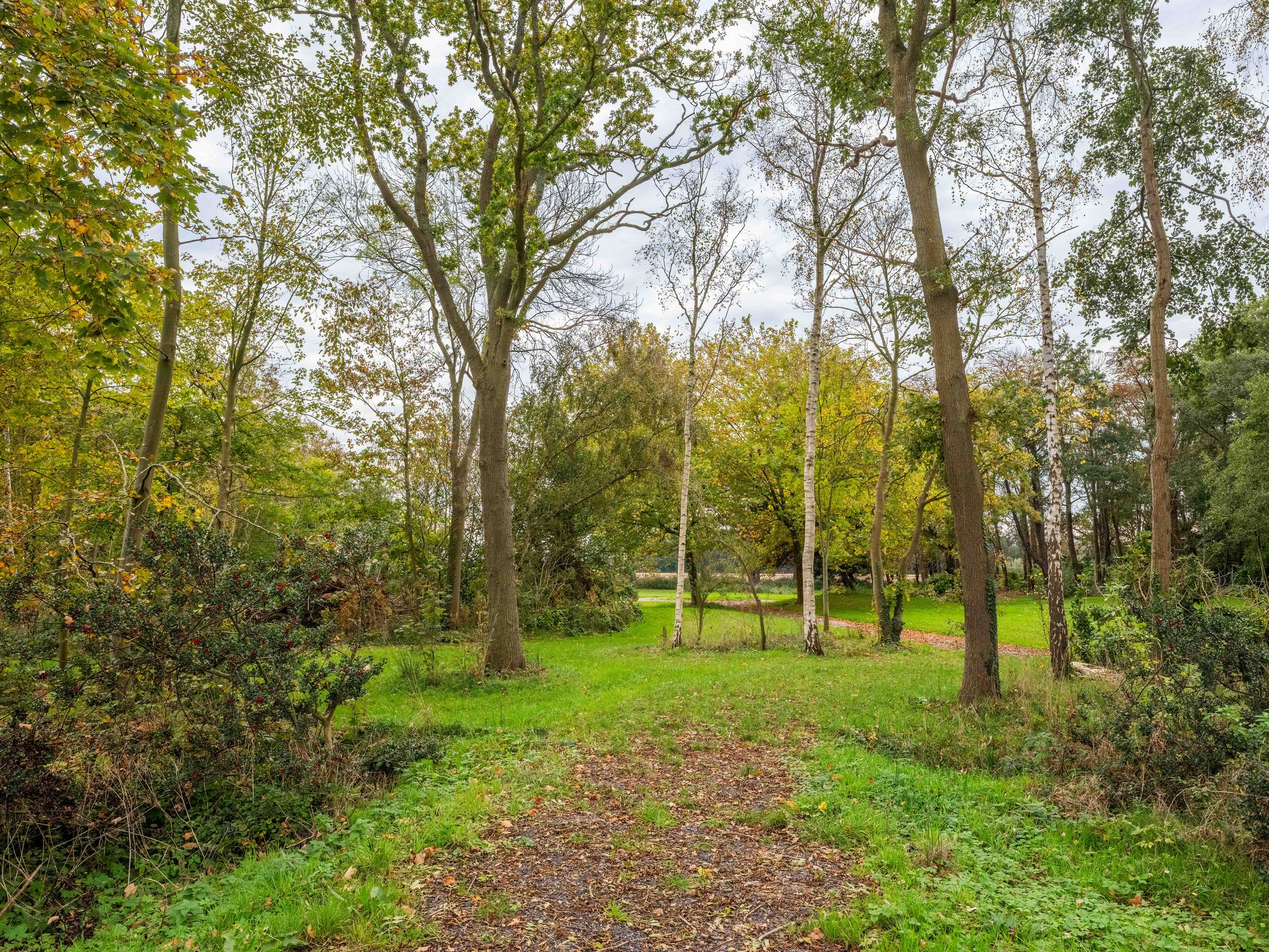 Photo 9 of Herenweg 57-A