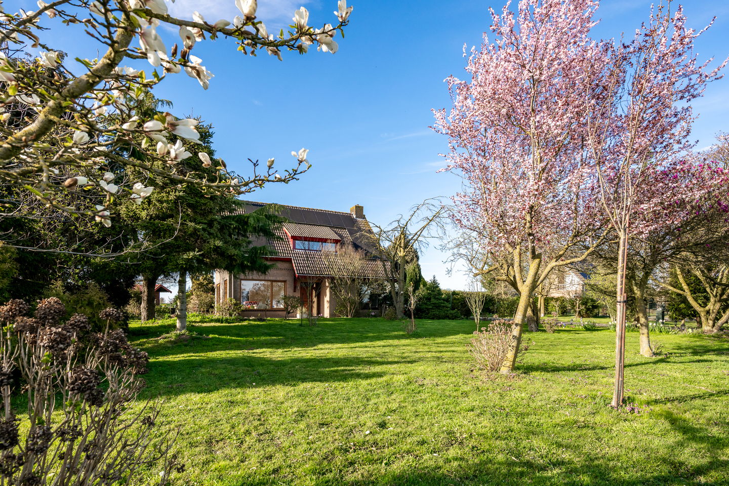 Foto 5 van Meester van Coothstraat 57-B