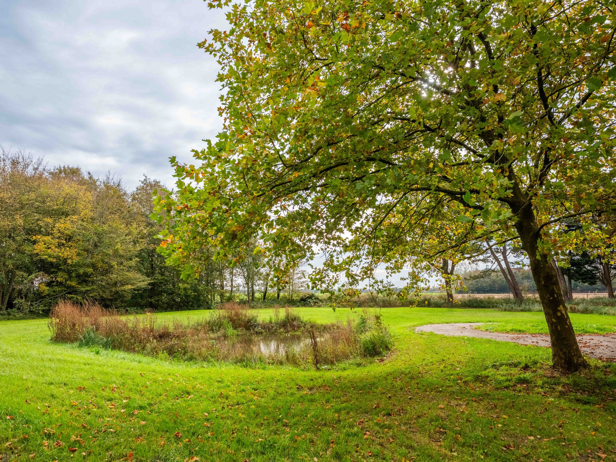 Photo 18 of Herenweg 57-A