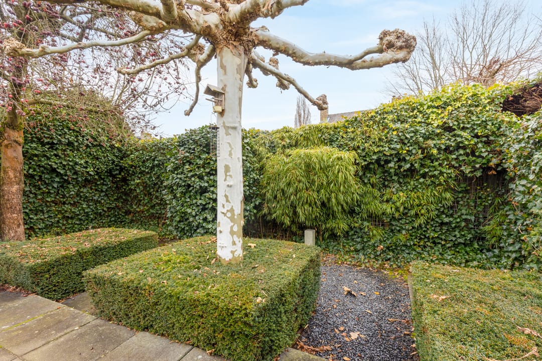 Foto 23 van Ceciliastraat 4