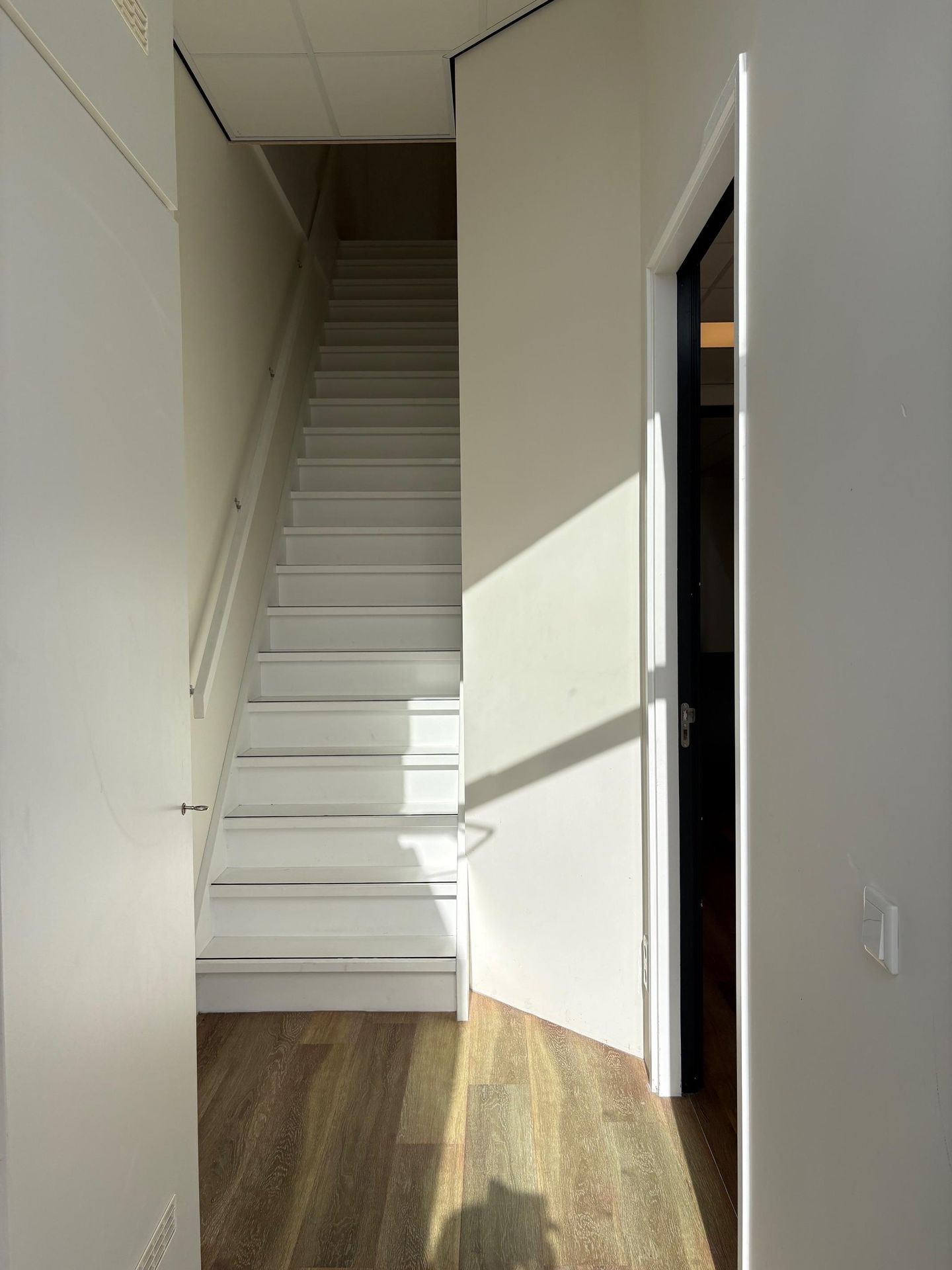 Bekijk foto 4 van Rode Ring 49-L