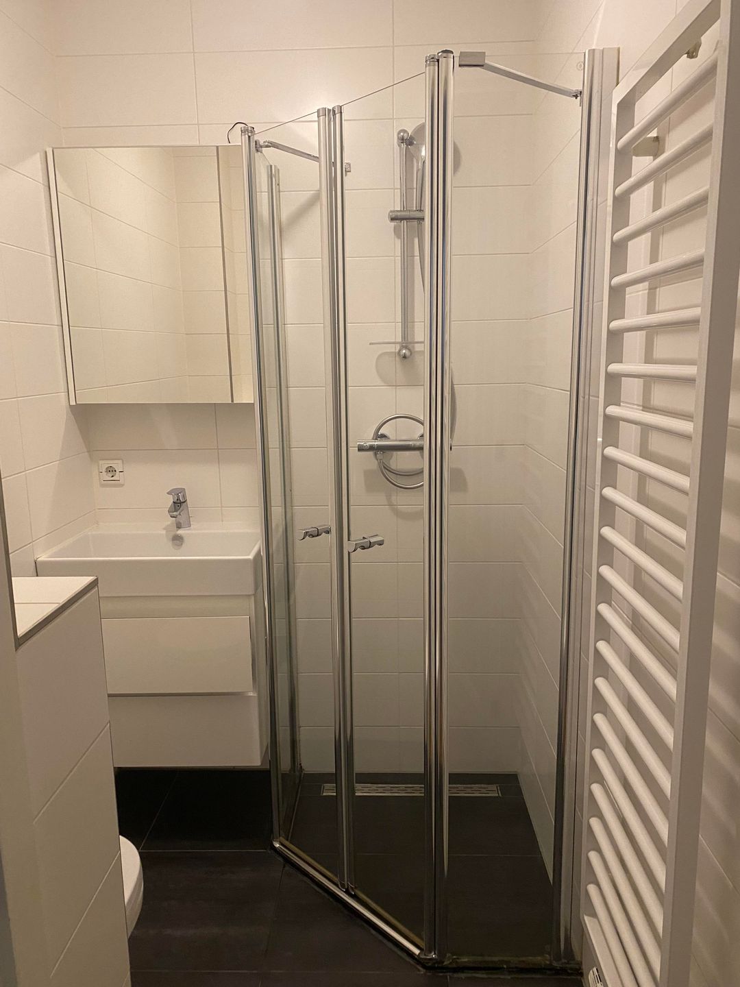 Foto 11 van Rooseveltlaan 252-3