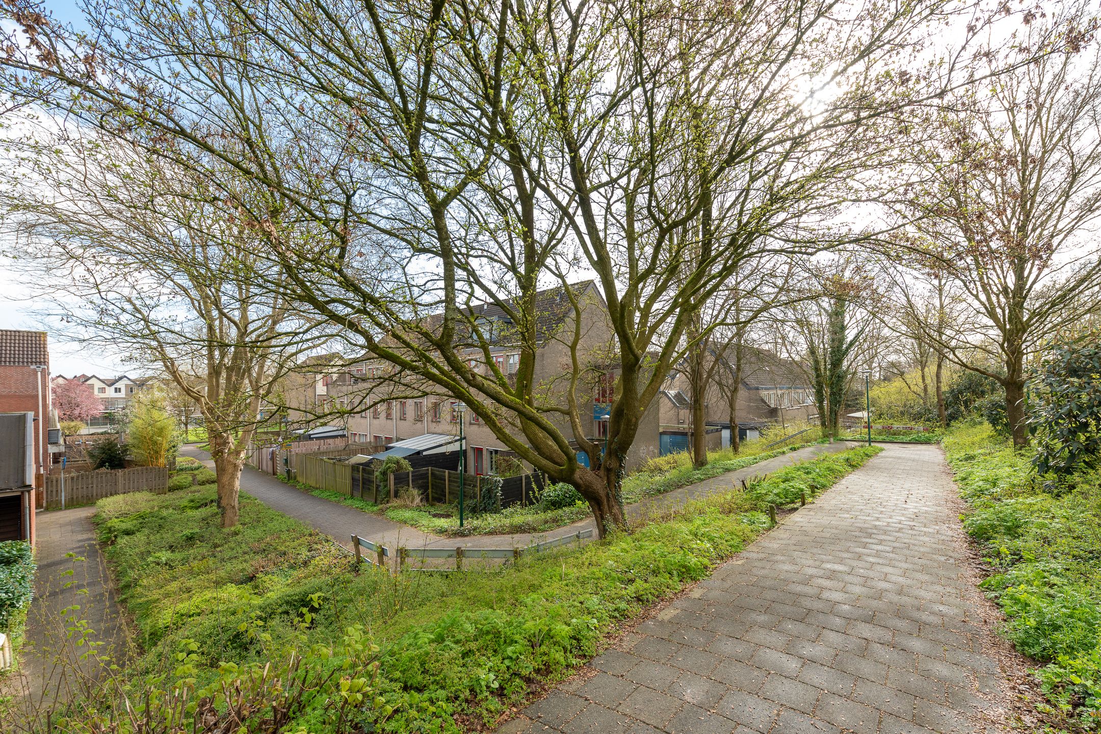 Foto 30 van Antilopespoor 448