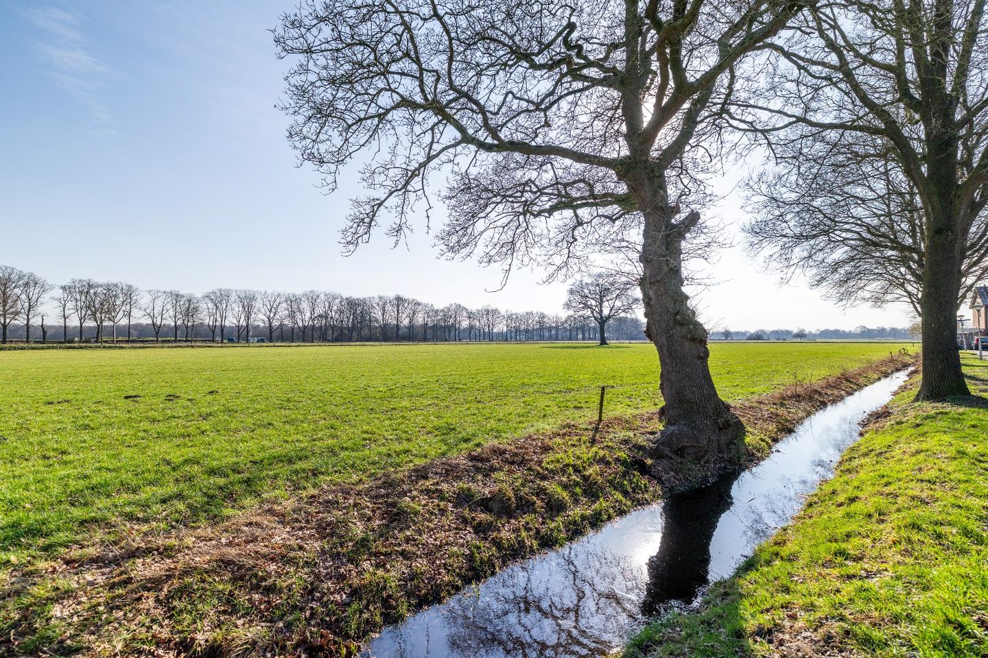 Foto 25 van Dokter Boomstraat 26