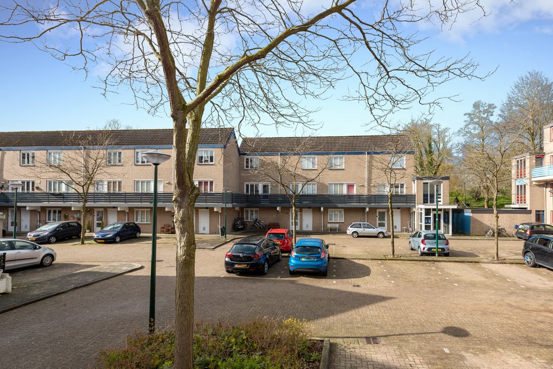 Foto 28 van Antilopespoor 448