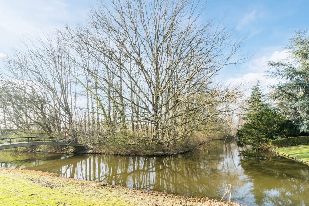 Photo 41 of Ahornlaan 71