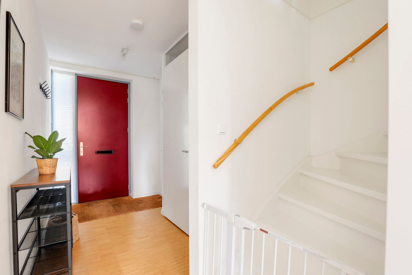 Foto 14 van Lippizanerstraat 69