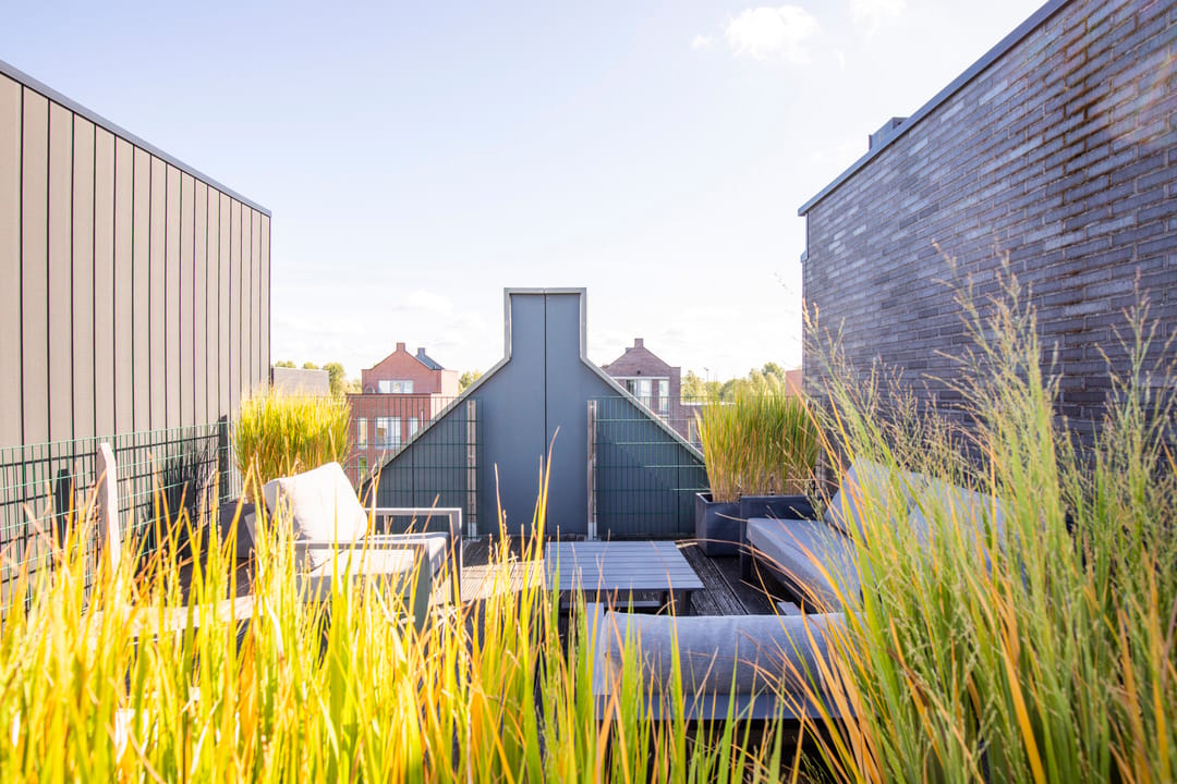 Foto 38 van Lippizanerstraat 69