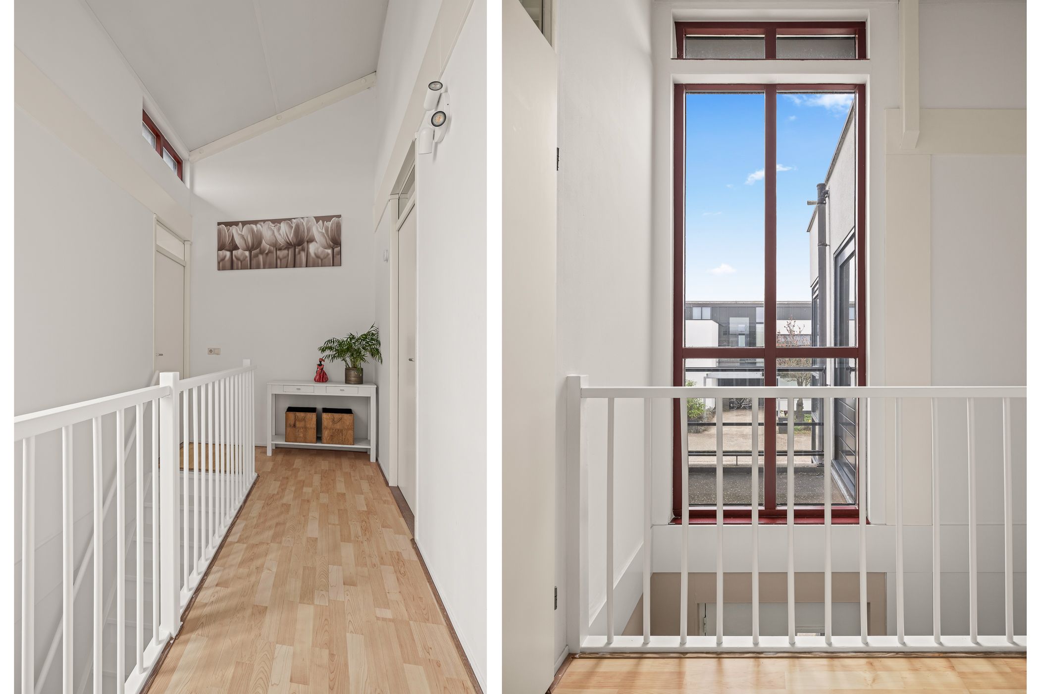 Foto 30 van Waterlelie 8