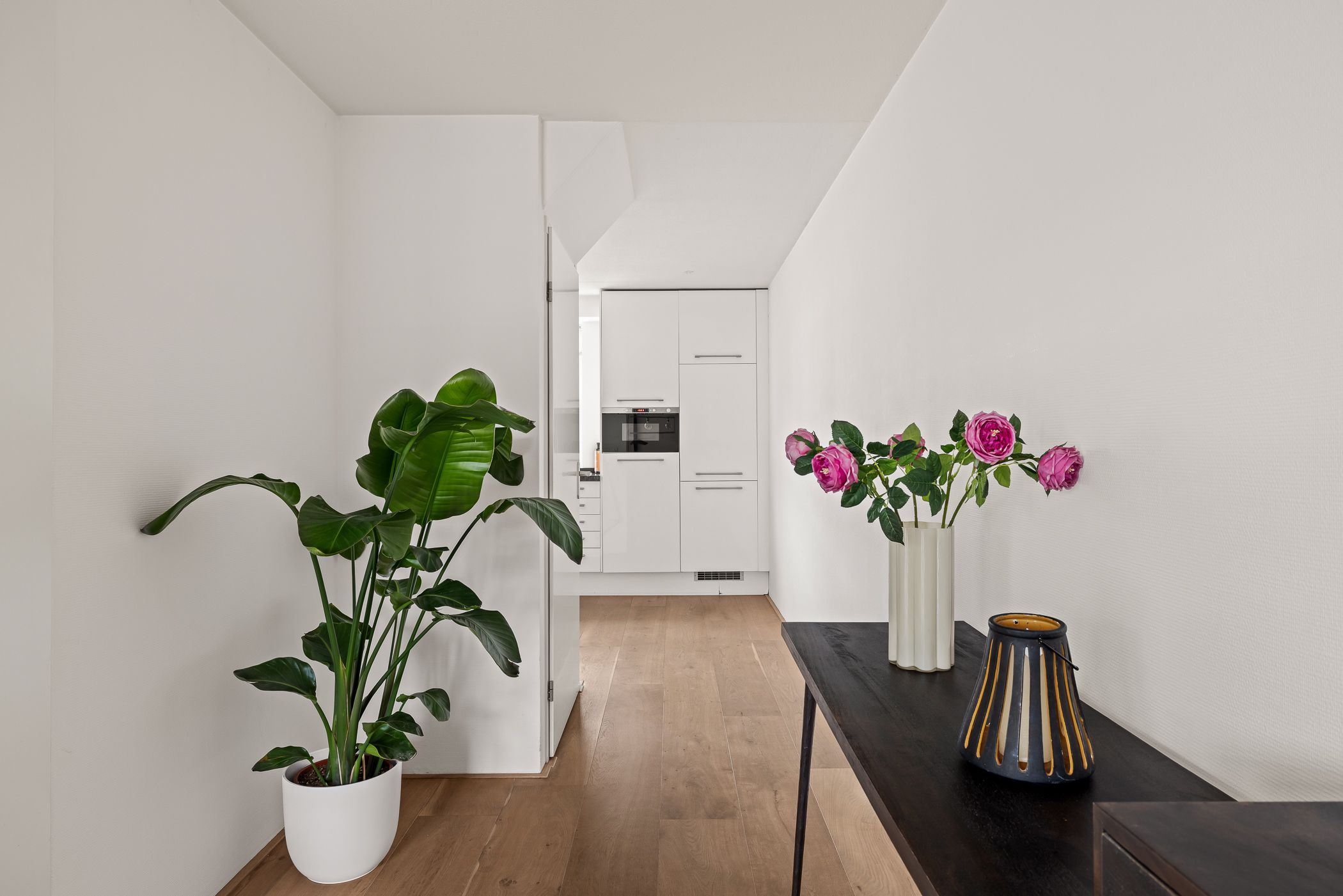 Foto 21 van Waterlelie 8