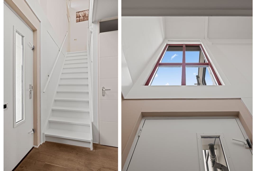 Foto 8 van Waterlelie 8