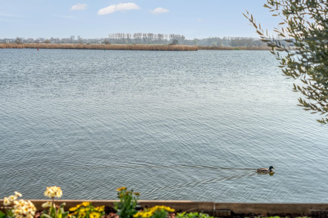 Foto 62 van Drijfanker 50