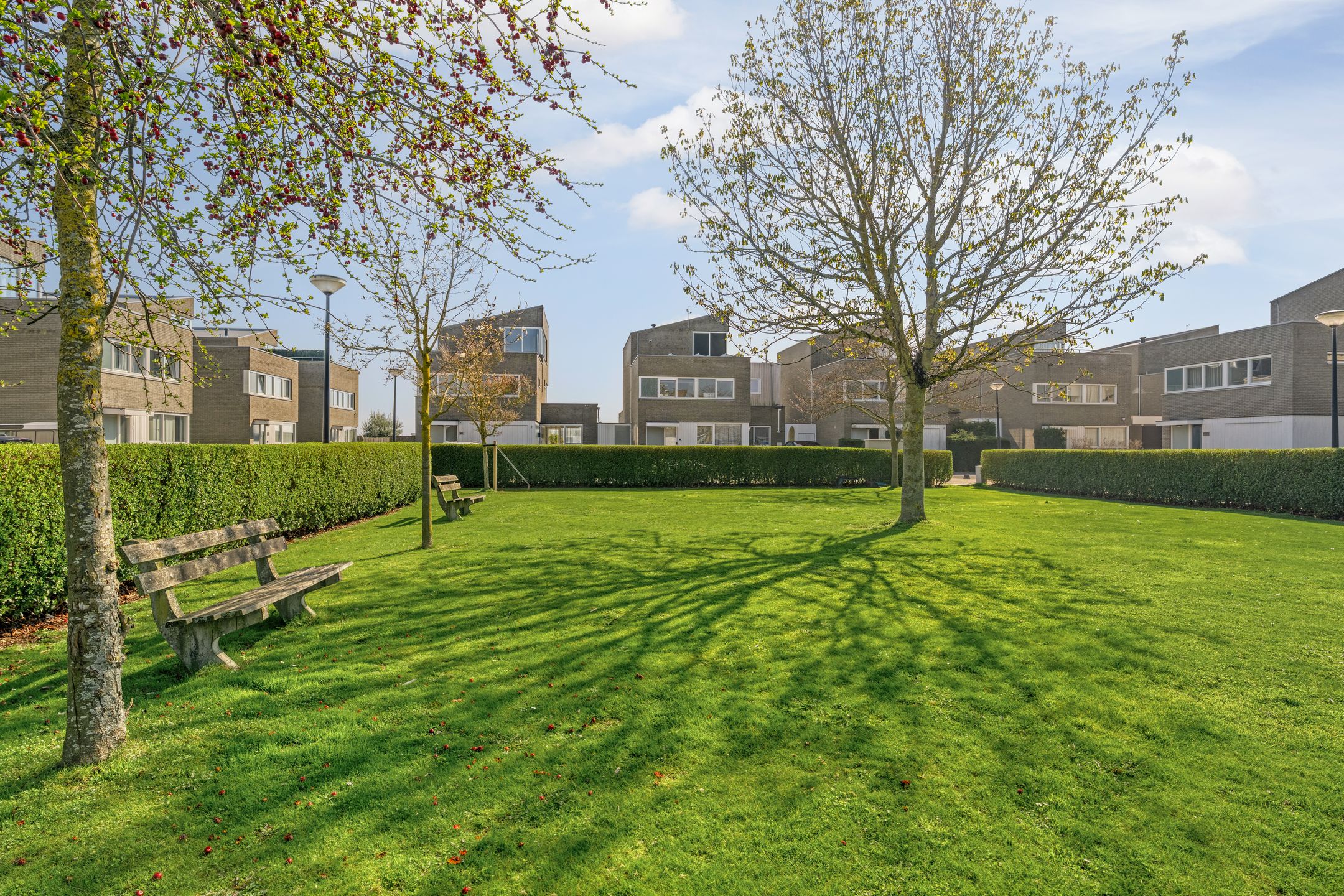 Foto 66 van Drijfanker 50