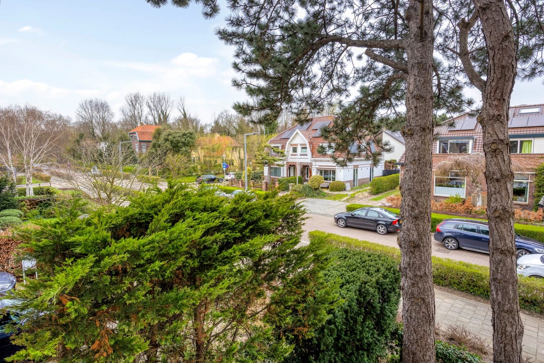 Foto 53 van 's-Gravenzandseweg 250