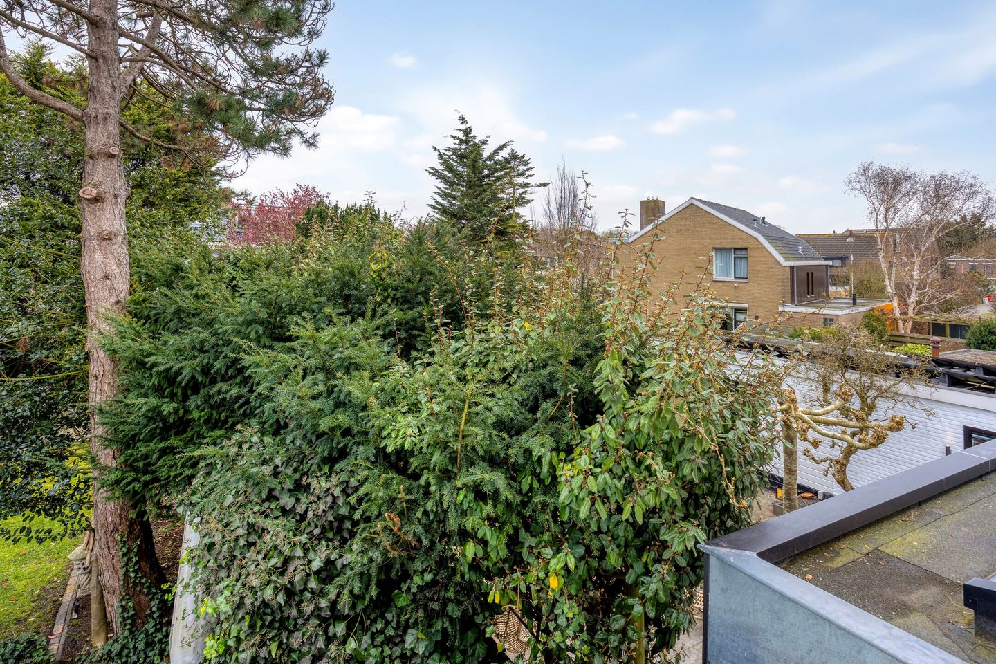 Foto 49 van 's-Gravenzandseweg 250