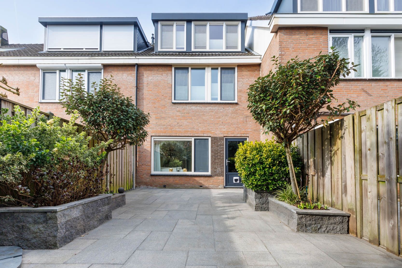 Foto 12 van Klimopzoom 91