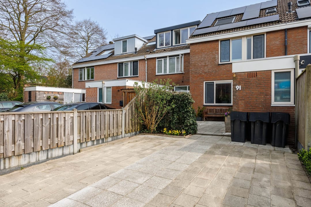 Foto 37 van Klimopzoom 91