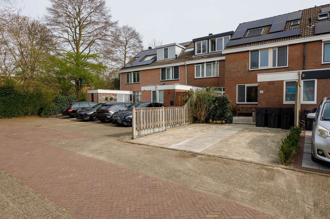 Foto 38 van Klimopzoom 91