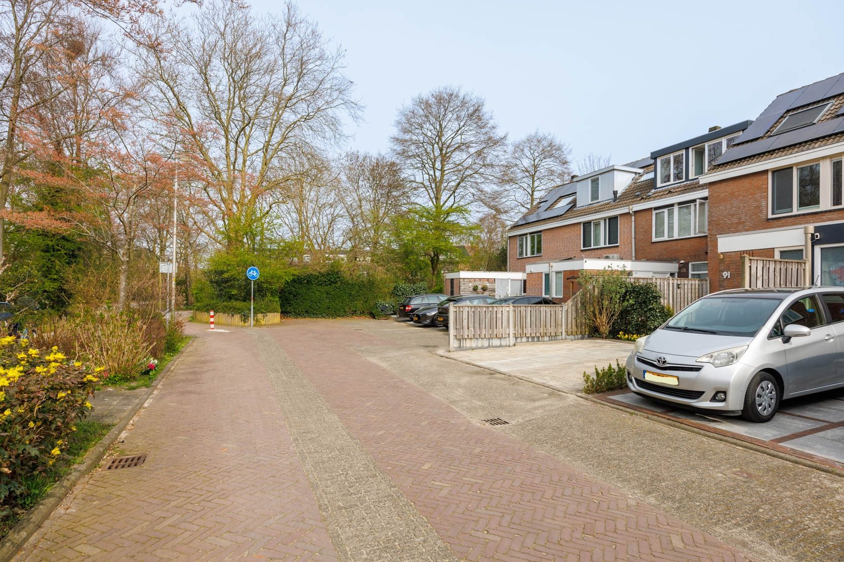 Foto 39 van Klimopzoom 91