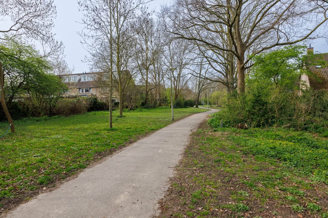 Foto 41 van Klimopzoom 91