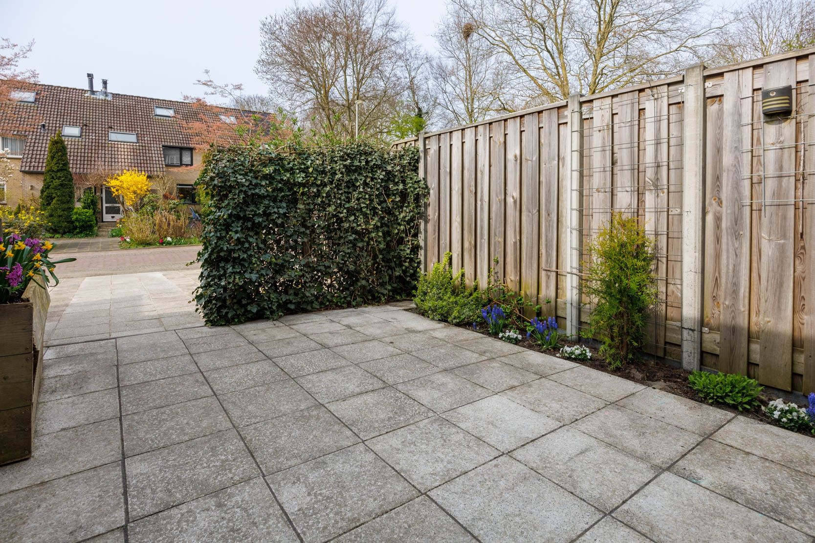 Foto 36 van Klimopzoom 91