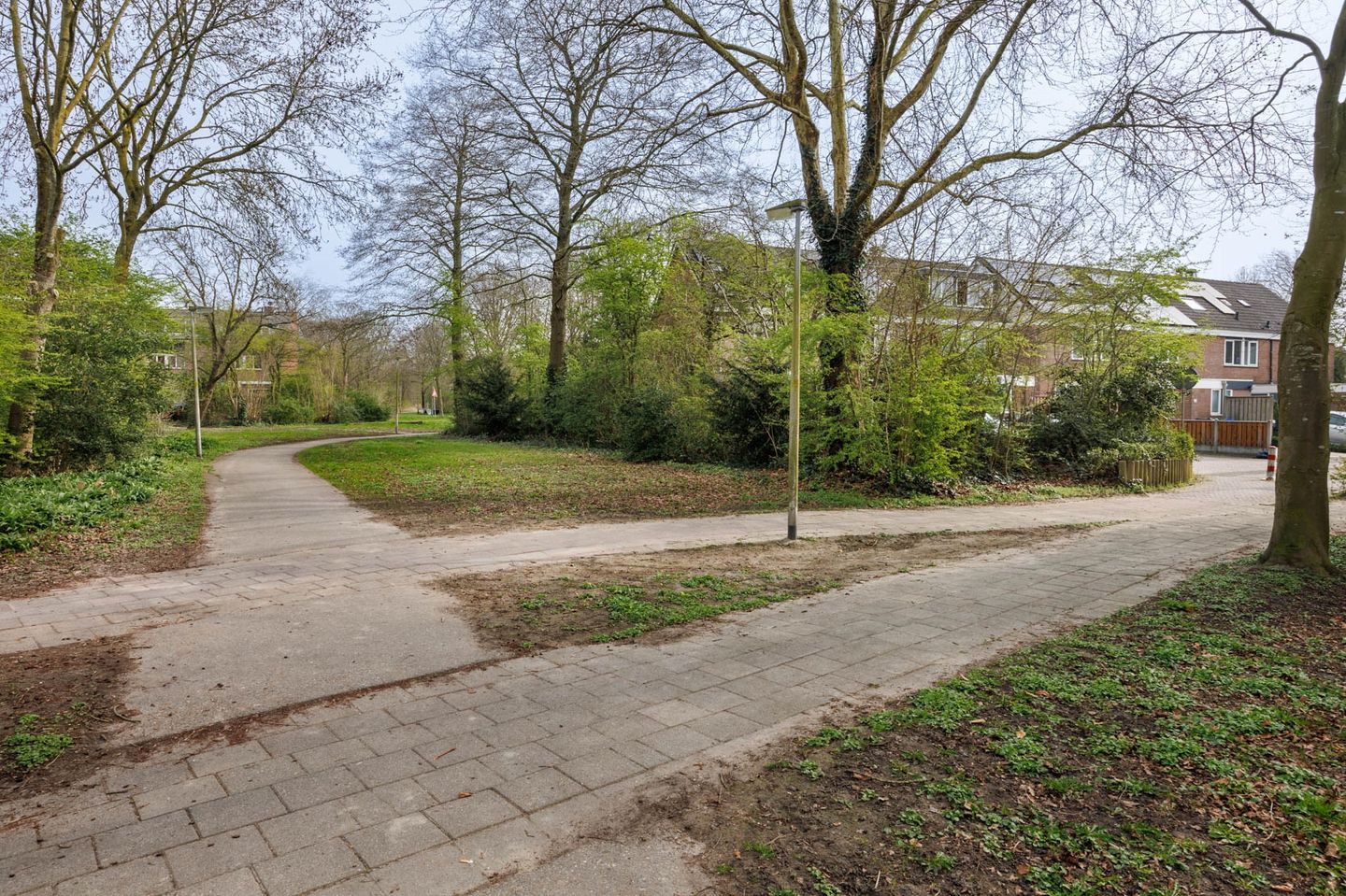 Foto 40 van Klimopzoom 91