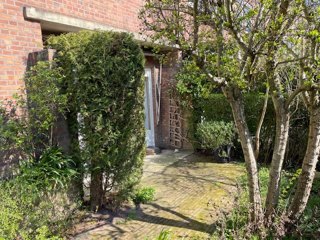 Photo 9 of Koningin Wilhelminalaan 291