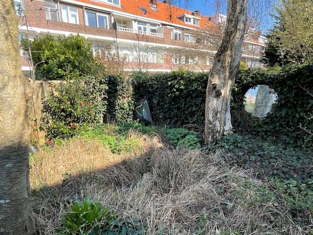 Photo 29 of Koningin Wilhelminalaan 291