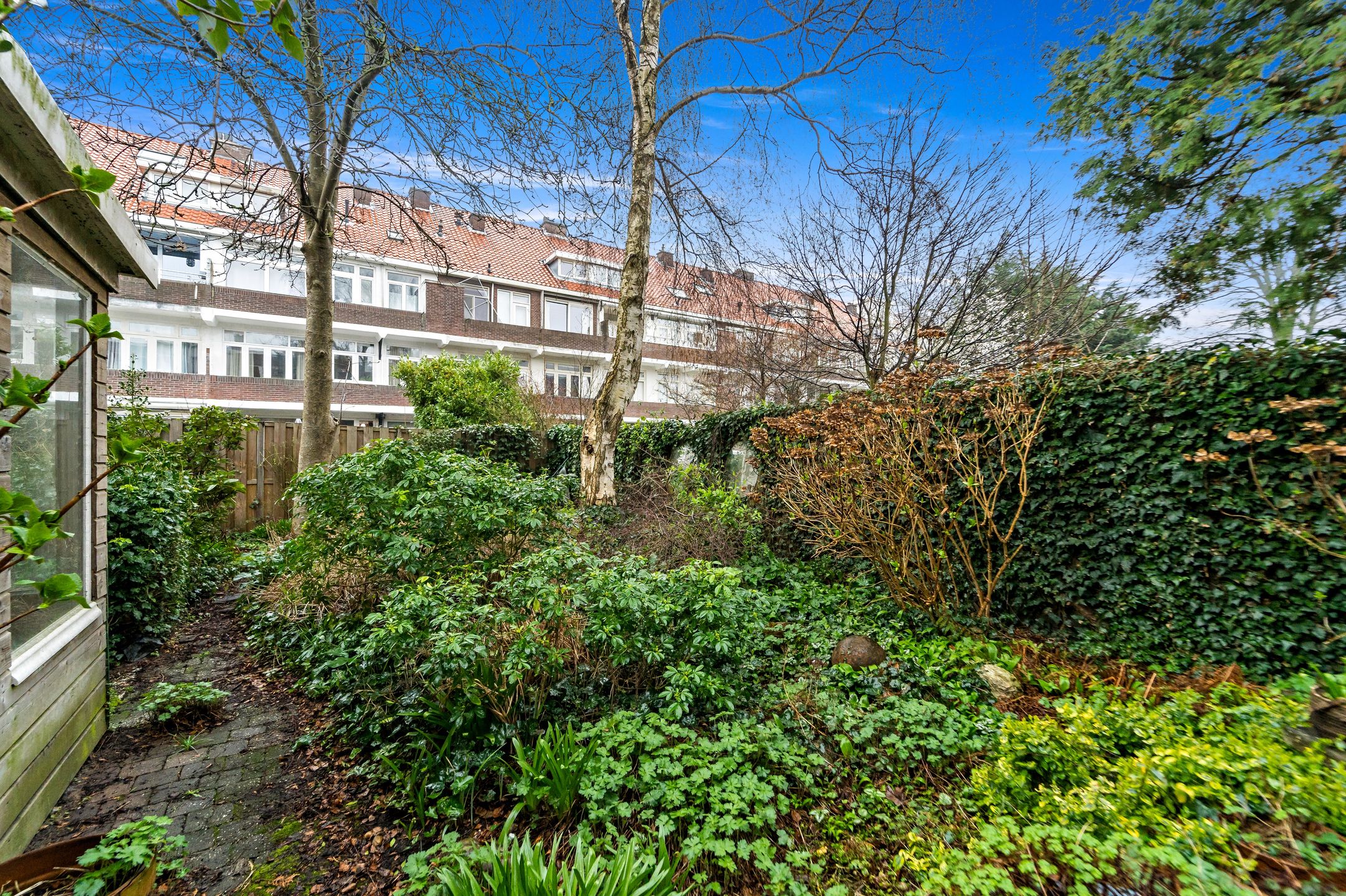 Photo 6 of Koningin Wilhelminalaan 291